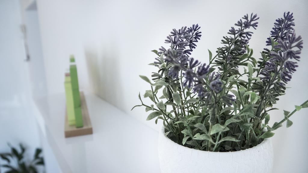 Apartment Nikolina Podstrana Dış mekan fotoğraf
